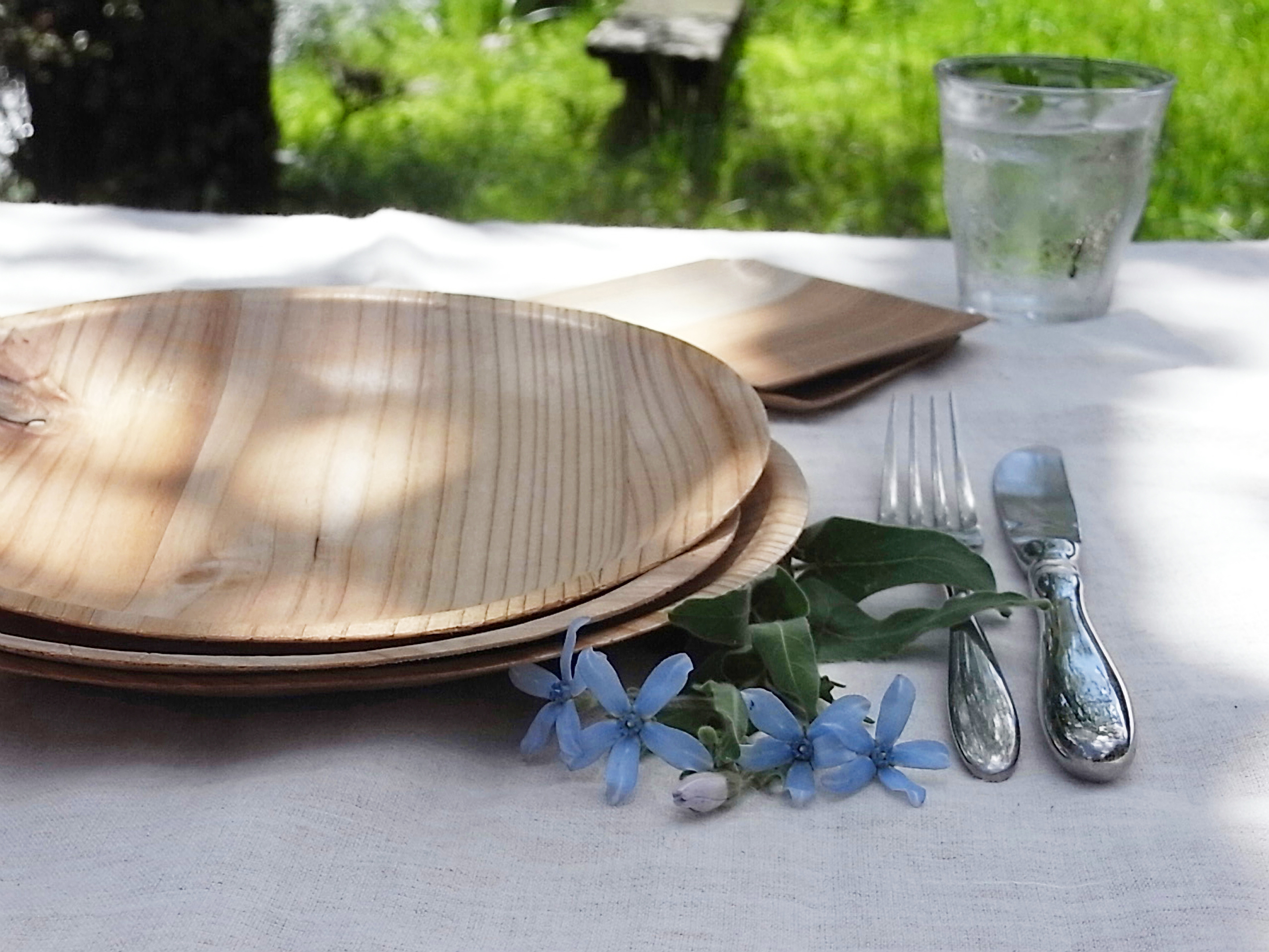 KIZARA（丸皿） 環境にやさしい本物の木のお皿 紙皿の様な木皿